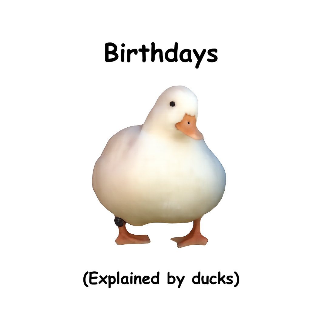 Custom Birthday Video (explained by ducks)