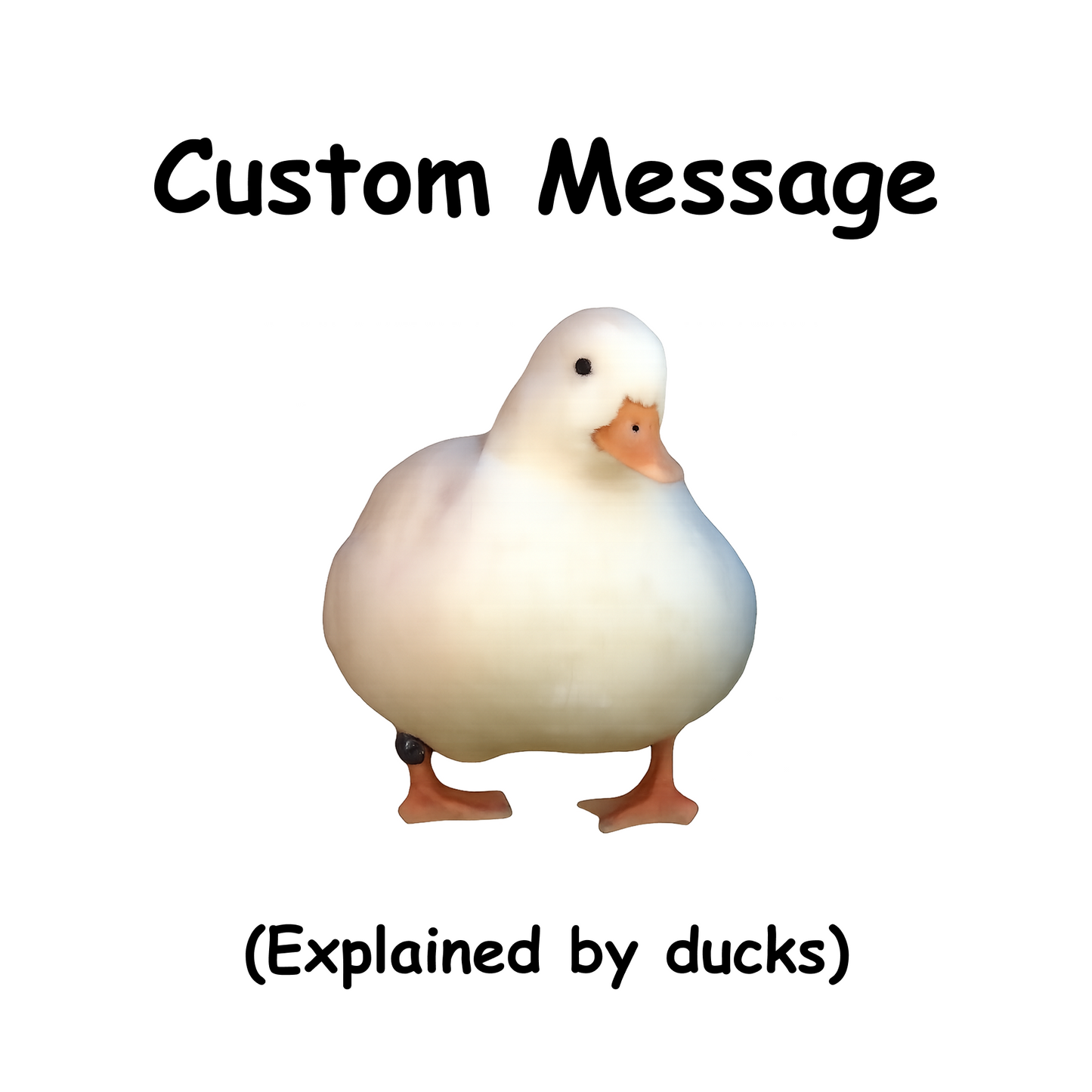 Custom Message (explained by ducks)